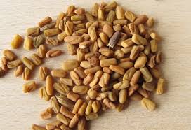 Fenugreek Seed