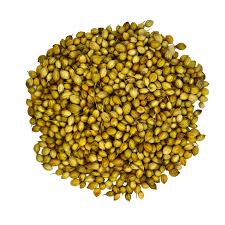 Coriander Seeds Whole